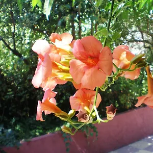 https://staggia-studios.kefaloniahotels.net